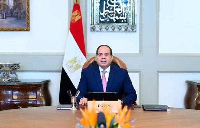 الرئيس السيسي يؤكد دعم مصر للمبادرات السعودية بشأن القضية الفلسطينية