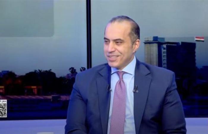 محمود فوزي: عامان من العمل لصياغة "الإجراءات ...