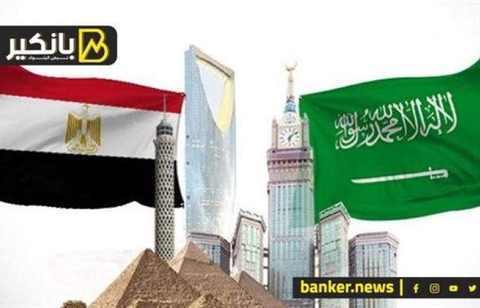 الإحصاء: 5.9 مليار دولار قيمة التبادل التجاري بين مصر والسعودية خلال النصف الأول من 2025