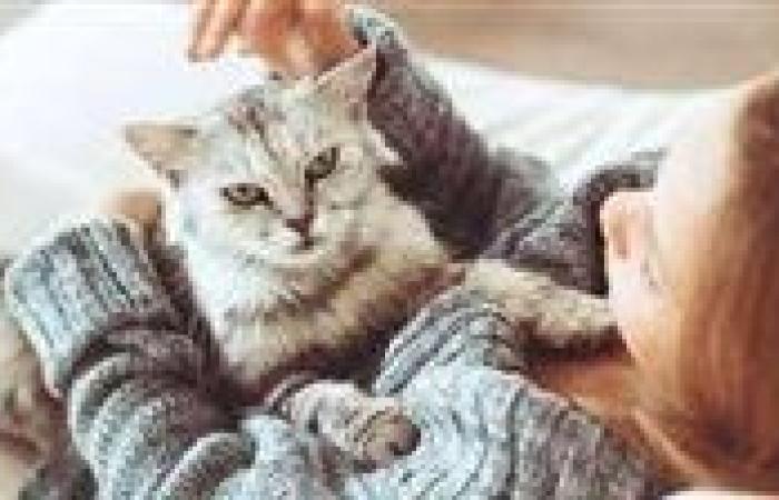 حلم القطة..متى يكون طاقة إيجابية ومتى يتحول لنذير خطر؟