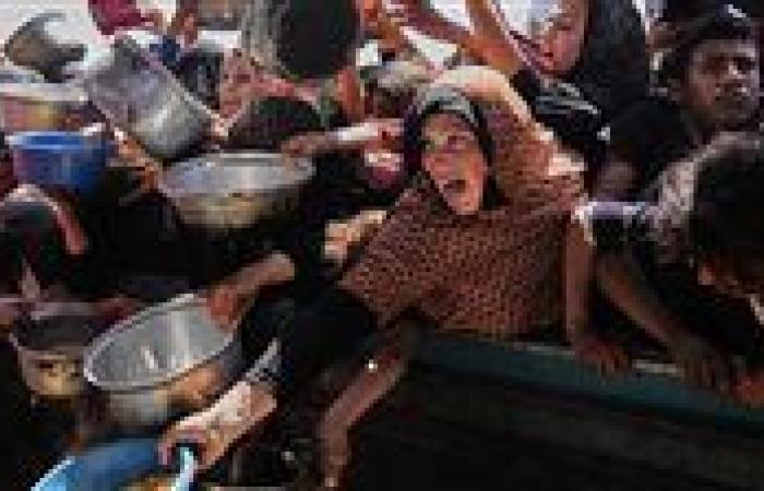 الأمم المتحدة: تقييم مجاعة غزة موثوق ومحايد.. والتصنيف الدولي يحذر من انتشارها جنوبا