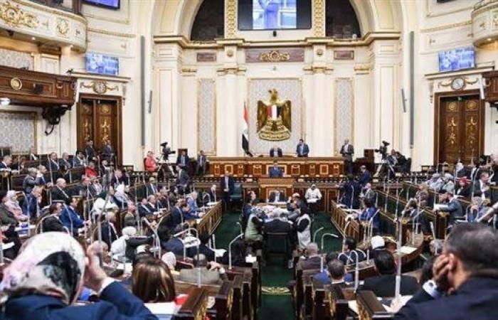 النائب طارق السيد: كبر الدوائر وغياب الحافز من أبرز أسباب تراجع المشاركة الانتخابية
