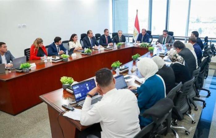خطوة تاريخية.. تأسيس لجنة لنفاذ الدواء المصري للأسواق العالمية بمشاركة وزير الخارجية
