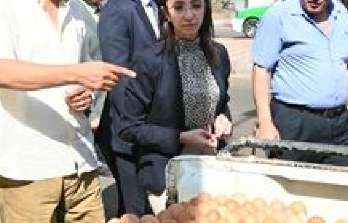 توفير 12سيارة محملة  بـ1000 طبق بيض مائدة قبل انطلاقها لتغطية عدة مراكز بالبحيرة