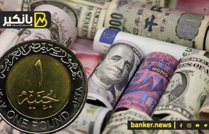 الجنيه المصري مفاجأة في 2025.. هل بدأ زمن التعافي؟