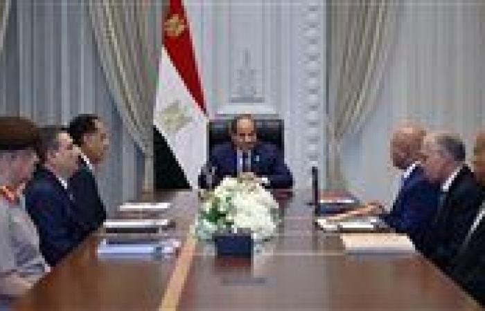 عاجل- السيسي يوجه بتسريع مشروعات الموانئ والقطارات السريعة وتوطين الصناعة لقيادة التنمية الاقتصادية في مصر