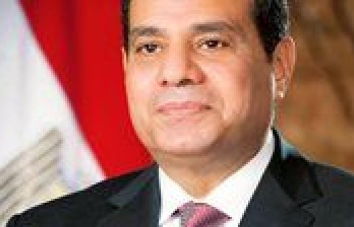 الرئيس السيسي يوجه بمواصلة تطوير شبكة الموانئ بما يحقق التكامل مع البنية التحتية التي تم إنجازها
