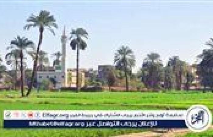 عاجل- الحكومة: دعم الصناعة والزراعة كقاطرة للتنمية