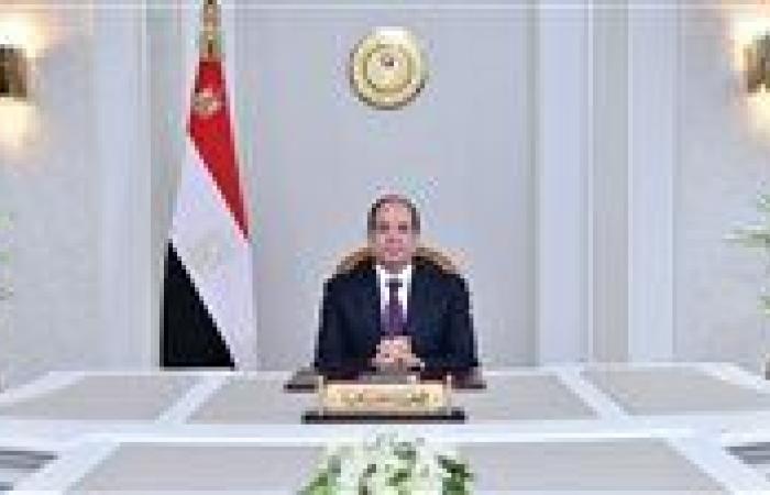 السيسي يستقبل رئيس دولة الإمارات فى مطار العلمين