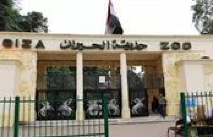 أسباب تأجيل افتتاح حديقة الحيوان بالجيزة