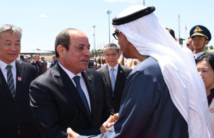الرئيس السيسى يستقبل الشيخ محمد بن زايد فى مطار العلمين
