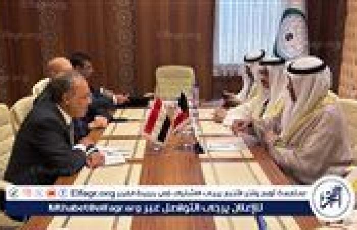 وزيرا خارجية مصر والكويت يبحثان سبل تعزيز العلاقات الثنائية والتطورات الإقليمية