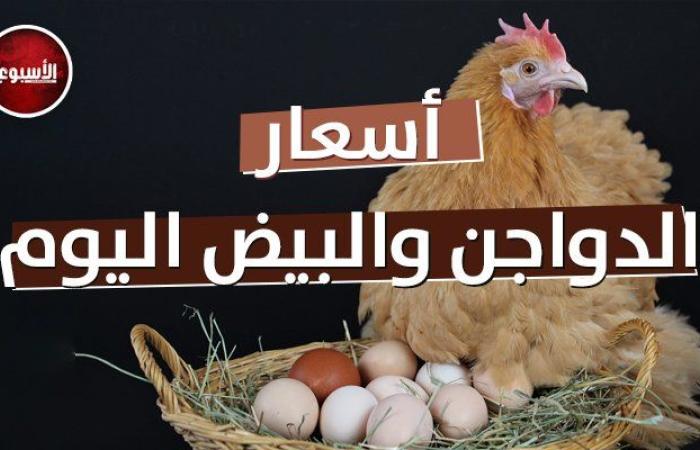 أسعار الدواجن والبيض اليوم الإثنين 25 أغسطس 2025