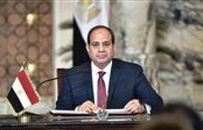الرئيس السيسي يتابع مشروعات تطوير الموانئ والنقل والصناعة ويوجّه بتعظيم العوائد الاقتصادية