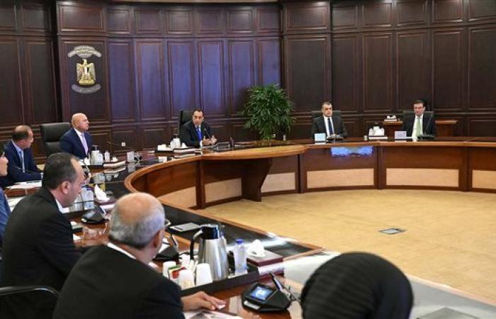 رئيس الوزراء يتابع جهود توفير المنتجات البترولية لقطاعي الصناعة والزراعة