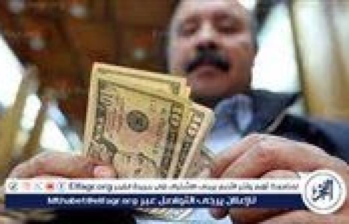 البنك المركزي: تحويلات قياسية للمصريين بالخارج بلغت 36.5 مليار دولار خلال عام