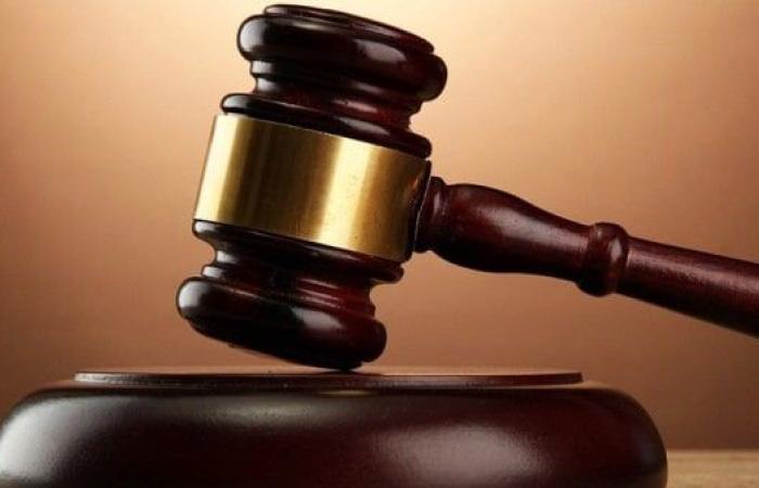 المشدد 10 سنوات للمتهم بالاعتداء على أسرة بالمنيا