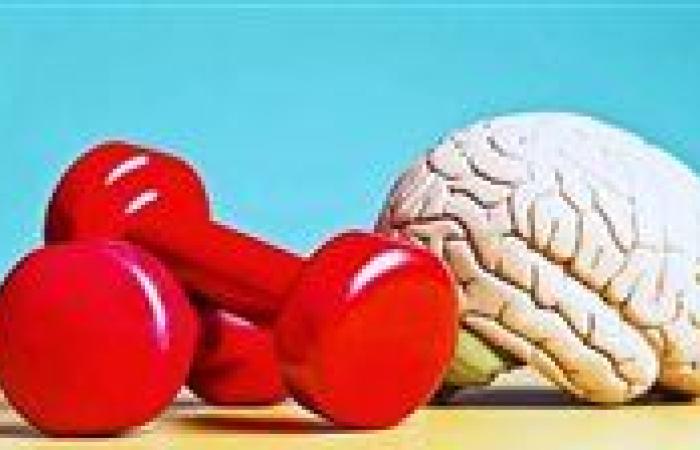 الرياضة والدماغ.. تمارين تقلل خطر الخرف مع التقدم في العمر
