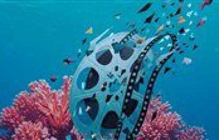 58 فيلما و30 دولة تتنافس على جوائز مهرجان الغردقة لسينما الشباب