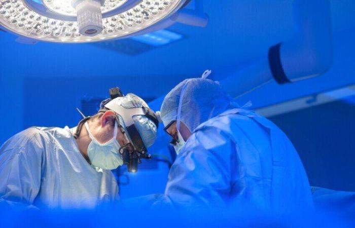 الصين تنجح في إجراء أول عملية زرع رئة خنزير معدل وراثياً في إنسان