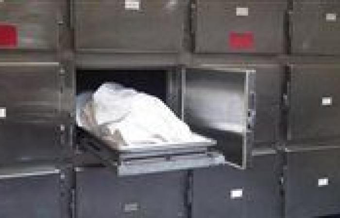 مقتل عامل وإصابة نجله في مشاجرة مع بائعة خضار بمسطرد