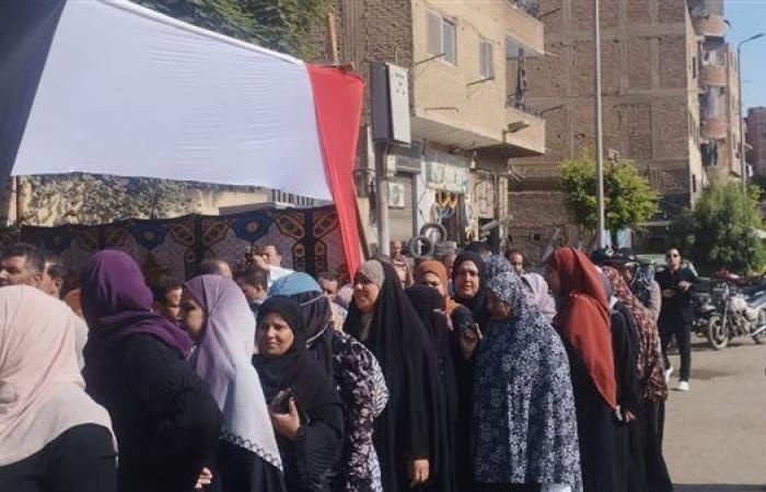 اليوم.. المصريون بالداخل يدلون بأصواتهم في جولة الإعادة بانتخابات مجلس الشيوخ 2025