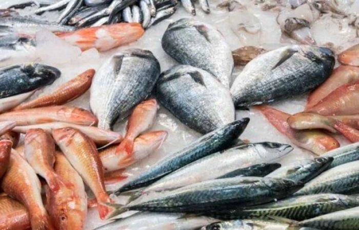 البلطي بكام؟.. أسعار الأسماك اليوم الأربعاء 27 أغسطس 2025