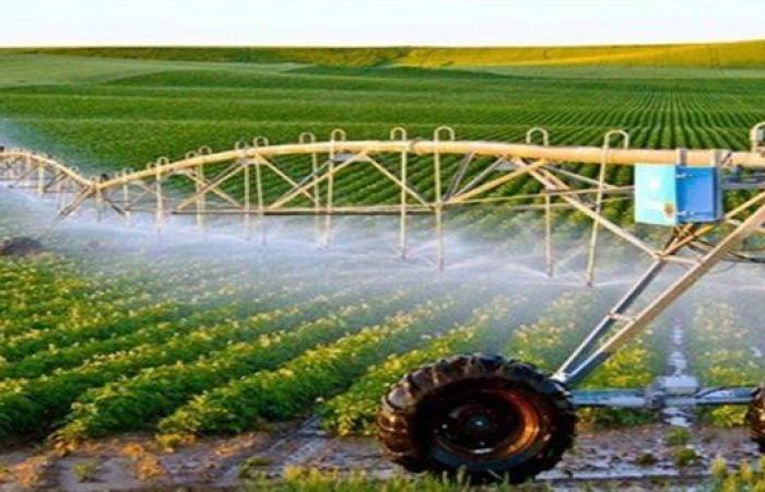 محافظ جنوب سيناء يبحث إقامة مشروعات زراعية عضوية متكاملة لدعم الأمن الغذائي
