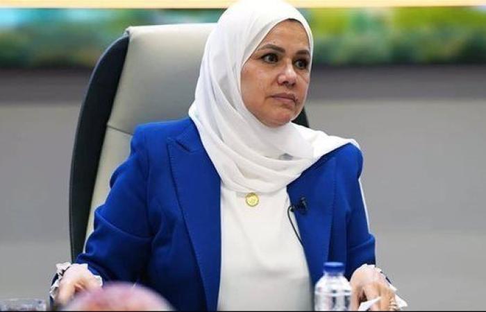 رشا عبد العال: تطوير قدرات الكوادر الضريبية "ضرورة"