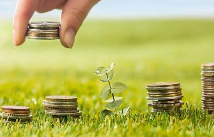 بنك الهلال أبوظبي.. مميزات حساب التوفير والفوائد