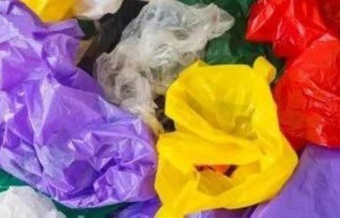 تفكيك شبكات التهريب قلص الإنتاج غير المشروع لأكياس البلاستيك بالمملكة