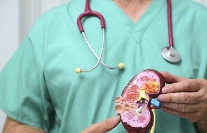 تعرف على أبرز أسباب تكوّن حصى المسالك البولية