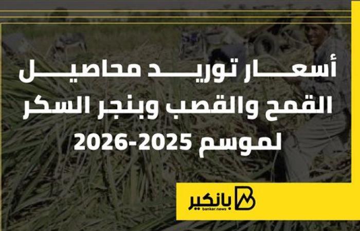 أسعار توريد محاصيل القمح والقصب وبنجر السكر لموسم 2025/2026 |إنفوجراف
