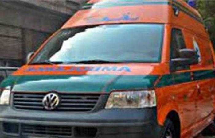 العثور على جثة شاب متعفنة داخل منزله بالدقهلية