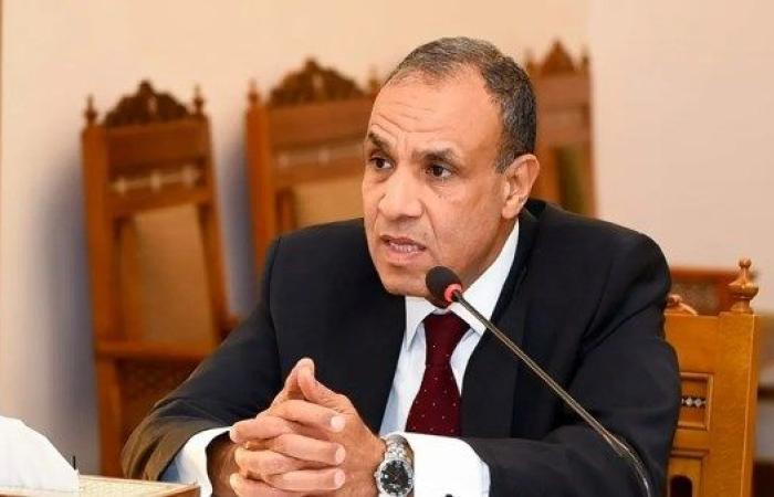 وزير الخارجية: الجهود المصرية - القطرية الأهم فى حقن دماء شعب فلسطين البريء