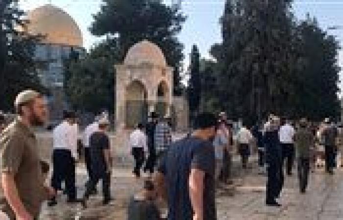عشرات المستوطنين الإسرائيليين يقتحمون المسجد الأقصى بالقدس الشرقية المحتلة