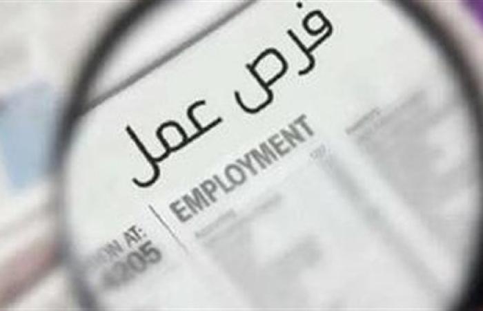 وظائف خالية اليوم الجمعة.. مطلوب مهندسين ومحاسبين وعمال