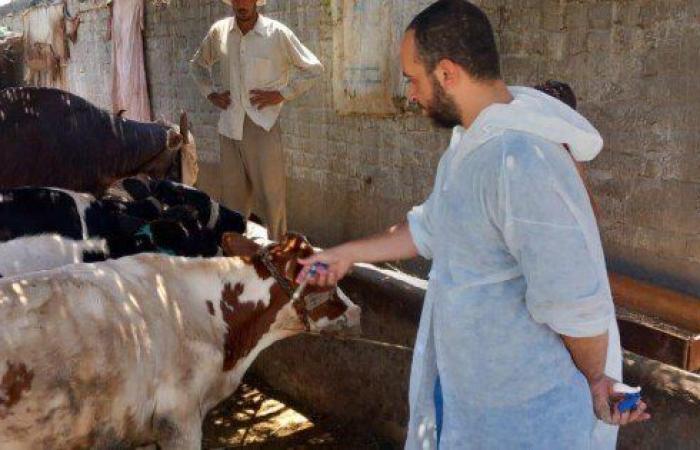 «بيطري بورسعيد» تواصل حملة التحصين ضد العترة الجديدة من الحمى القلاعية SAT1