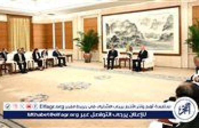 رئيس الوزراء يدعو الشركات الصينية للاستثمار في صناعة السيارات الكهربائية بمصر