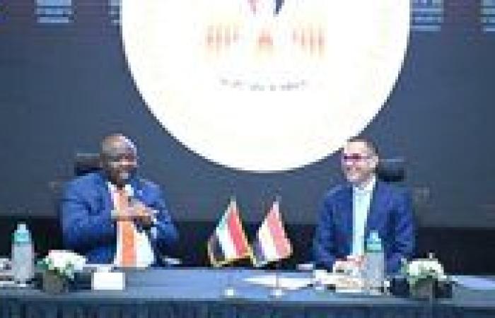 مصر والسودان تبحثان التعاون المشترك فى مجالات الذهب والثروات المعدنية
