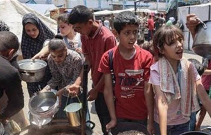 الإغاثة الطبية في غزة: انتشار فيروسات غامضة في القطاع لا يمكن تشخيصها
