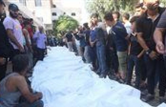 أستاذ قانون دولي يوضح أهمية تقرير "الإبادة الجماعية" الخاص بقطاع غزة