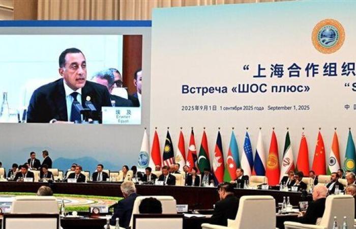 من "البريكس" إلى "شنغهاي".. كيف تبني مصر مستقبلها الاقتصادي عبر شراكات دولية قوية؟