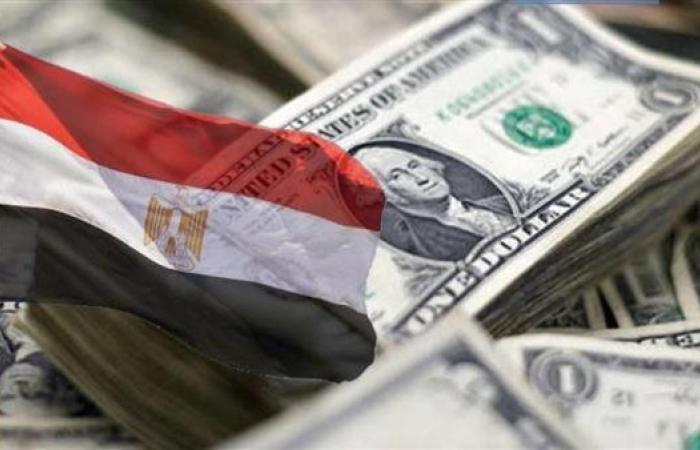 لتسريع برنامج الطروحات.. الحكومة تدشن وحدة مركزية لشركات الدولة