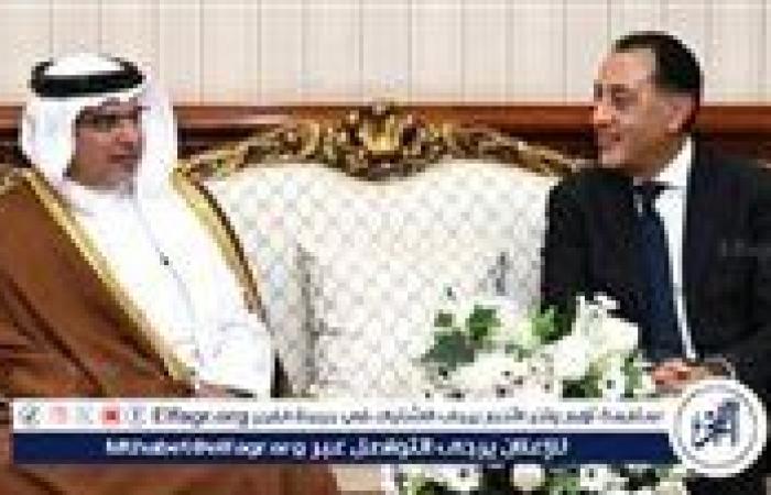 عاجل- مصر والبحرين: موقف مشترك ثابت لدعم فلسطين ورفض تهجير الشعب الفلسطيني