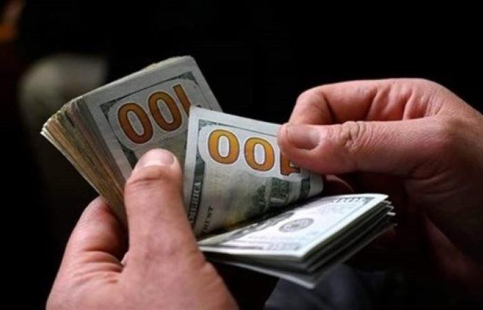 سعر الدولار اليوم بالبنك المركزى المصرى.. البيع والشراء