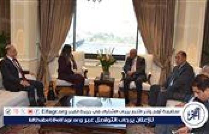 وزيرة الخارجية الفلسطينية تبحث مع أبو الغيط أزمة غزة وحل الدولتين