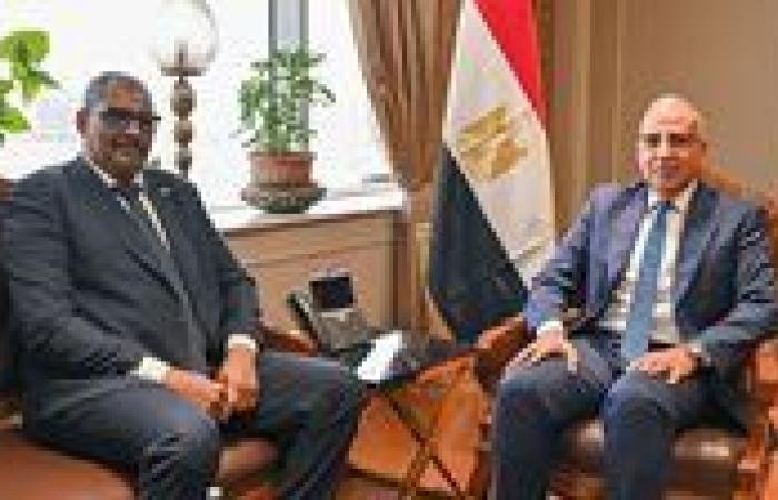 وزير الموارد المائية والري يلتقي نظيره السوداني للتعاون في مجال المياه