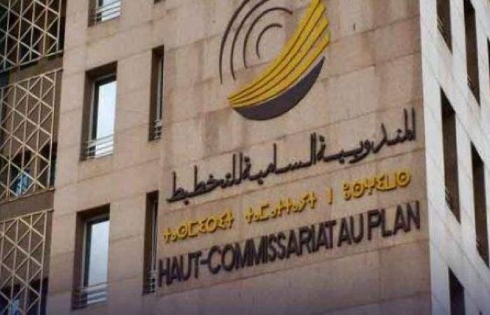 قطاع البناء.. أرباب المقاولات يتوقعون ارتفاعا في النشاط