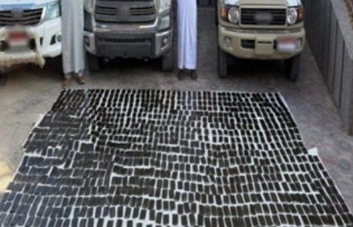 الداخلية تطيح بـ3 عناصر خطرة وتضبط طن مخدرات و41 سلاحًا بالأقصر وسوهاج